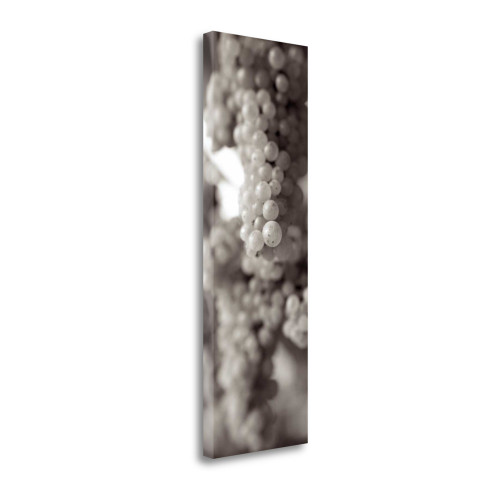 Grapes Pano 10 Wrapped Canvas Print Living Room Wall Art