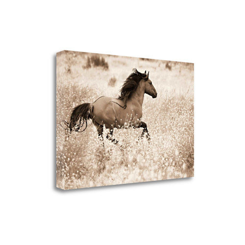 Running Free 1 Wrapped Canvas Print Living Room Wall Art