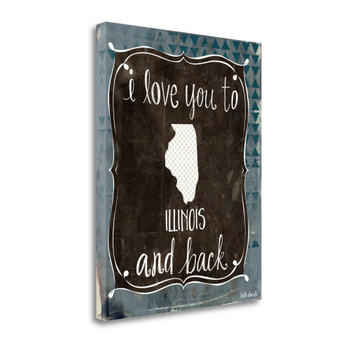 Illinois And Back Wrapped Canvas Print Living Room Wall Art