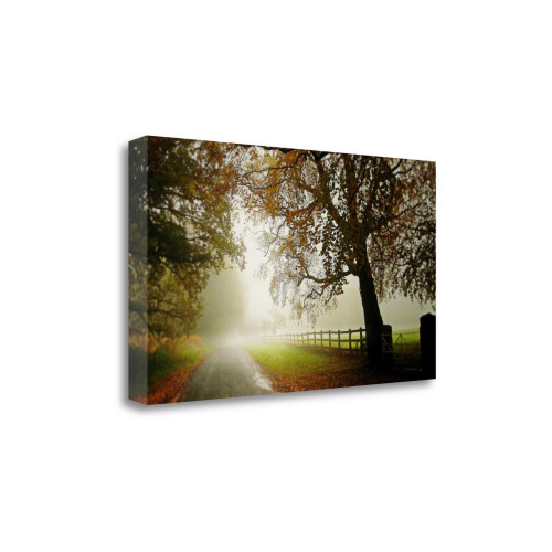 The Fog 3 Wrapped Canvas Print Wall Art