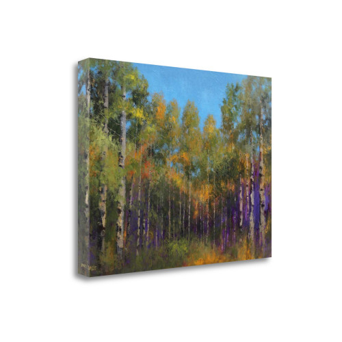 Aspen Autumn 3 Wrapped Canvas Print Wall Art