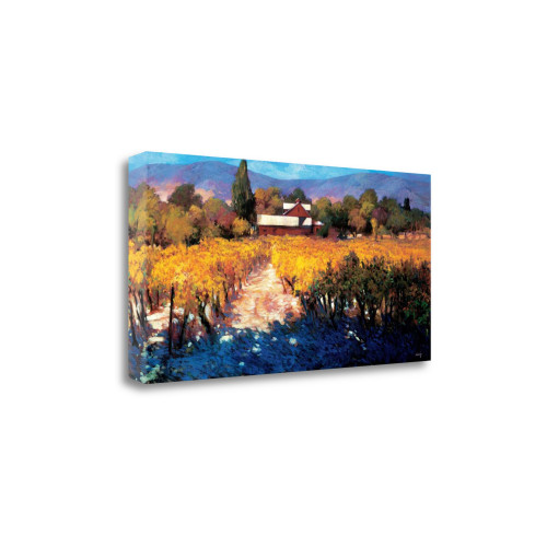 Vineyard Afternoon 4 Wrapped Canvas Print Wall Art