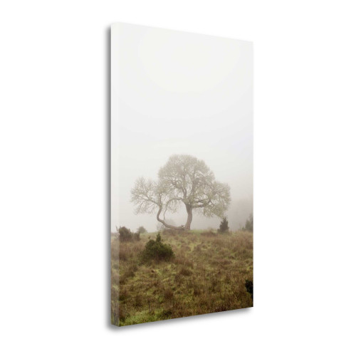 Oak Tree 26 Wrapped Canvas Print Living Room Wall Art