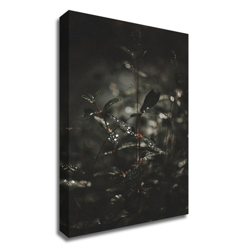 Secret 7 Wrapped Canvas Print Wall Art