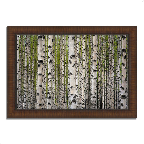 Spring Birch 10 Brown Picture Frame Print Wall Art