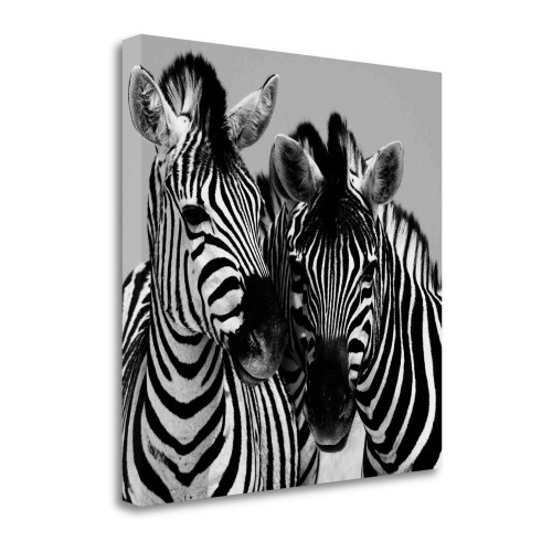 Namibia Zebras 1 Wrapped Canvas Print Living Room Wall Art