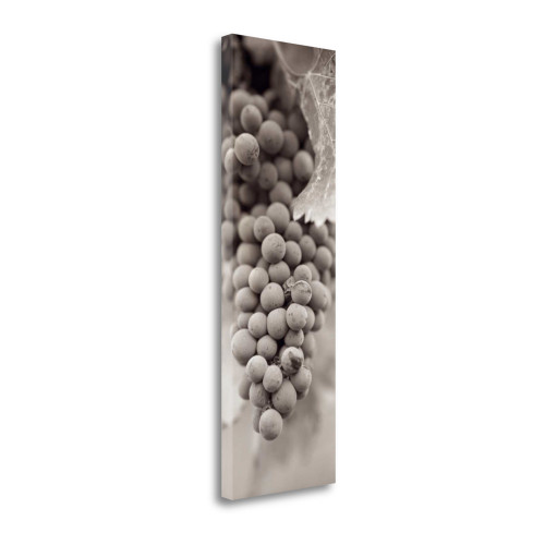 Grapes Pano 1 Wrapped Canvas Print Living Room Wall Art