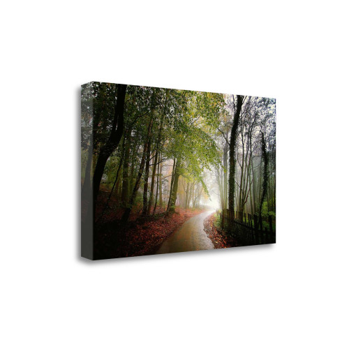 The Fence 4 Wrapped Canvas Print Wall Art