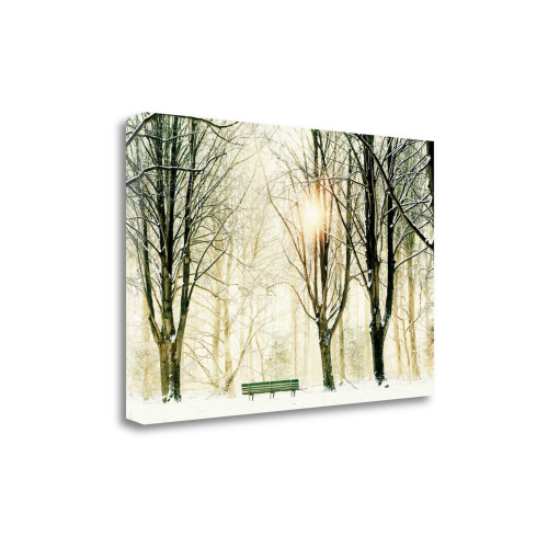 Too Cold To Sit 1 Wrapped Canvas Print Wall Art