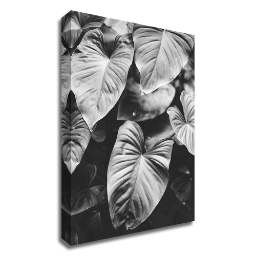 Leaves Of Grey Wrapped Canvas Print Wall Art