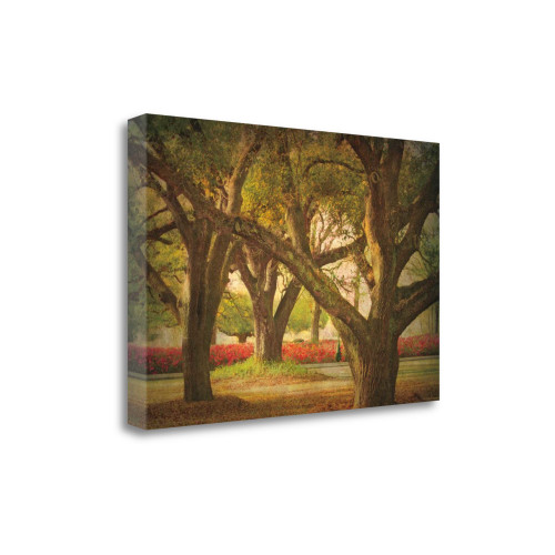 Three Oaks And Azaleas 1 Wrapped Canvas Print Living Room Wall Art