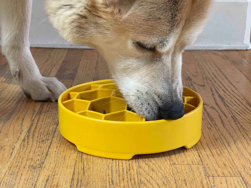 Honeycomb eBowl Deep Slow Feeder Dog Bowl for Enrichment 