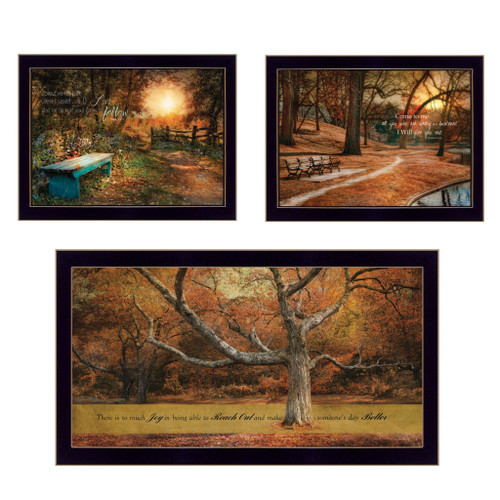 Homeroots Home Decor Set Of Three Tranquil Spaces 2 Black Framed Print Wall Art, Black, Framed