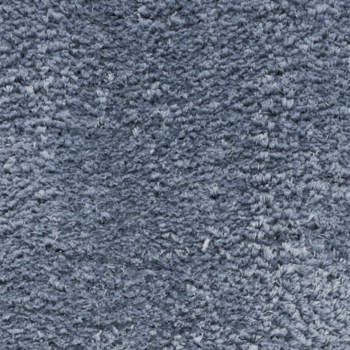 4' X 6' Blue Shag Area Rug