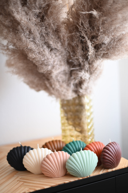 Shell Candle Collection