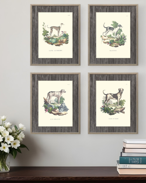 Set Of Four French Dogs Gold Framed Print Wall Art