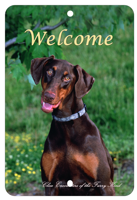 Doberman Uncropped - Best of Breed  Indoor/Outdoor Aluminum Sign