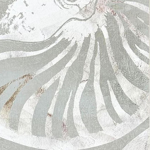 Set Of Two Nautilus Shell Distressed White Framed Wall Art