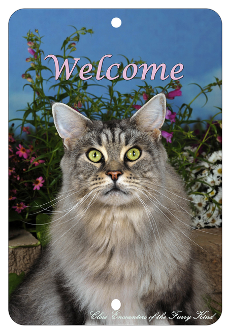 Maine Coon Cat  - Best of Breed  Indoor/Outdoor Aluminum Sign