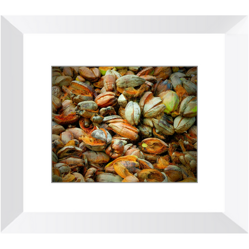 Hazy in the Coconut - Framed Prints