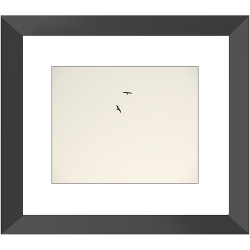Birds Flying High - Framed Prints