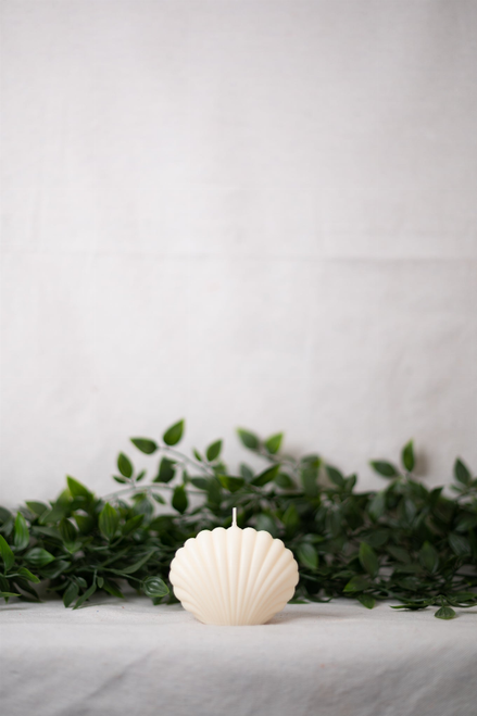 Shell Candle Collection