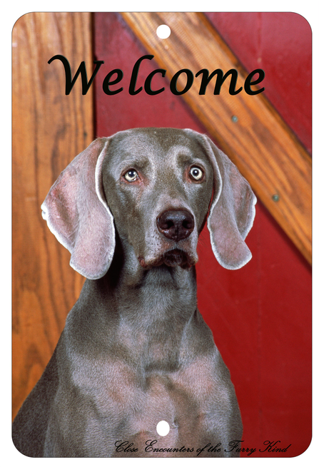 Weimeraner - Best of Breed  Indoor/Outdoor Aluminum Sign