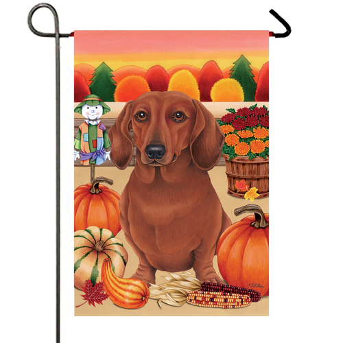 Dachshund  Red - Best of Breed Autumn Harvest Garden Flag 