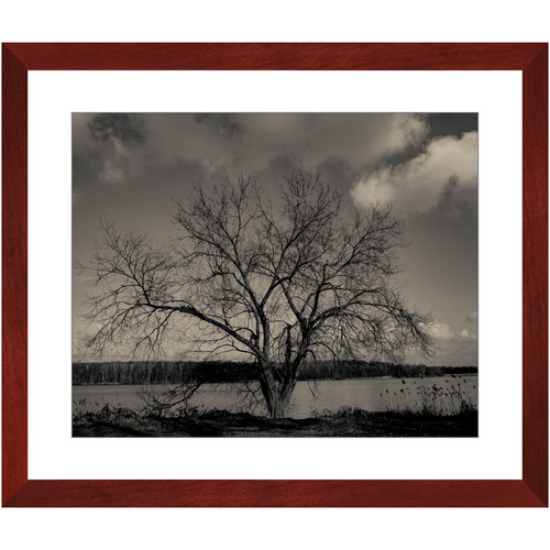 Baum im Winter - Framed Prints
