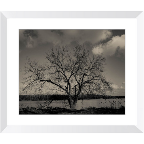 Baum im Winter - Framed Prints