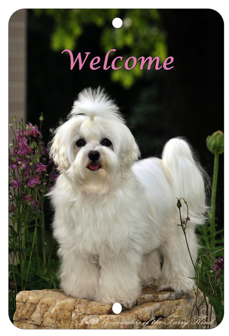 Maltese - Best of Breed  Indoor/Outdoor Aluminum Sign
