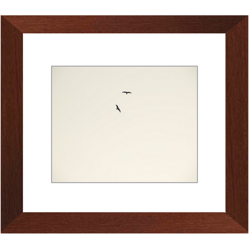 Birds Flying High - Framed Prints