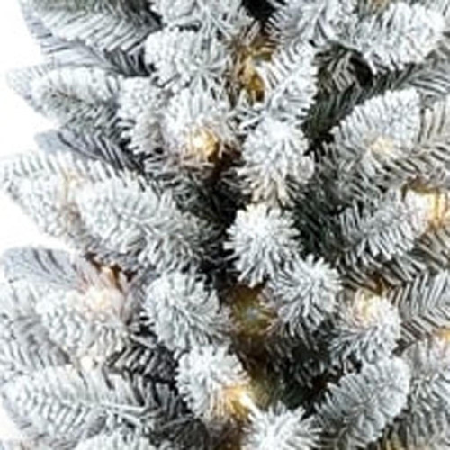 6' Pre Lit Full Frosted Spruce Christmas Tree
