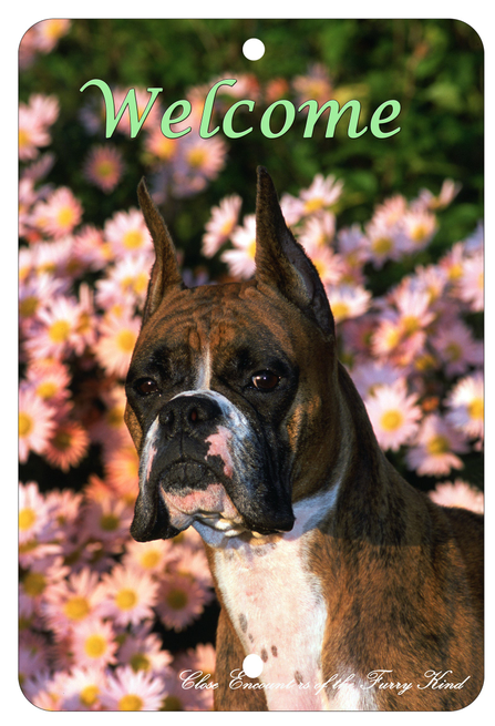 Boxer Copped - Best of Breed  Indoor/Outdoor Aluminum Sign