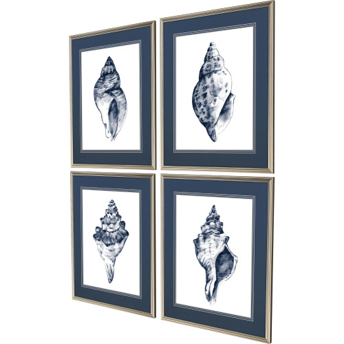 Set Of Four Quiet Conch Silver Framed Wall Art