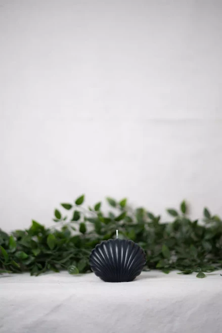 Shell Candle Collection