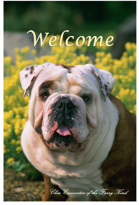 Bulldog - Best of Breed  Indoor/Outdoor Aluminum Sign