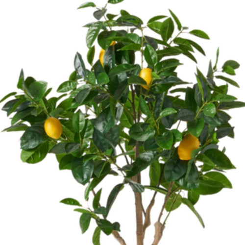 27" Green Artificial Lemon In Cylindrical Black Pot