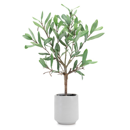 12" Green Artificial Olive In Round White Porcelain Pot