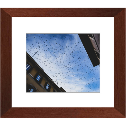 Before Sunset - Framed Prints