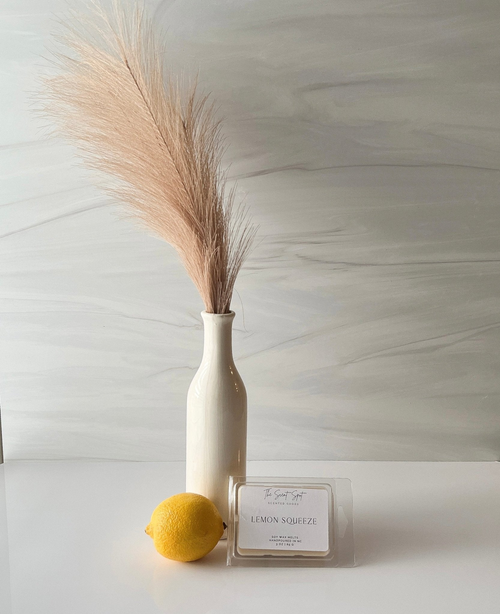 Lemon Squeeze Wax Melts