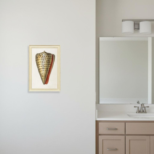 Conch Study II Distressed White Framed Wall Art