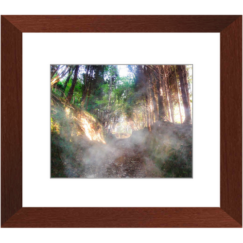Into the Mystic - Framed Prints