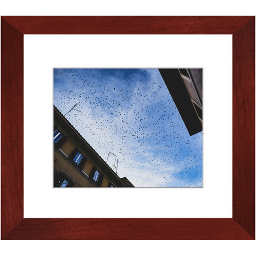 Before Sunset - Framed Prints