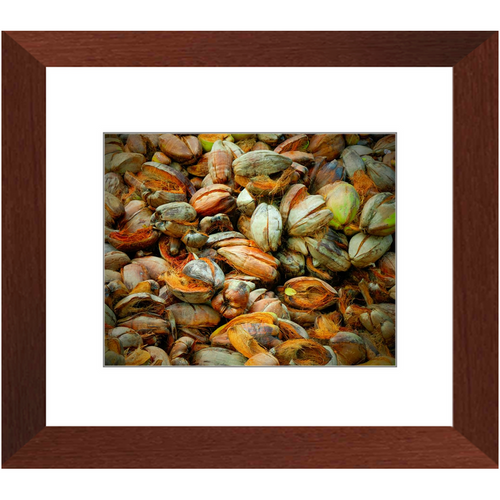 Hazy in the Coconut - Framed Prints