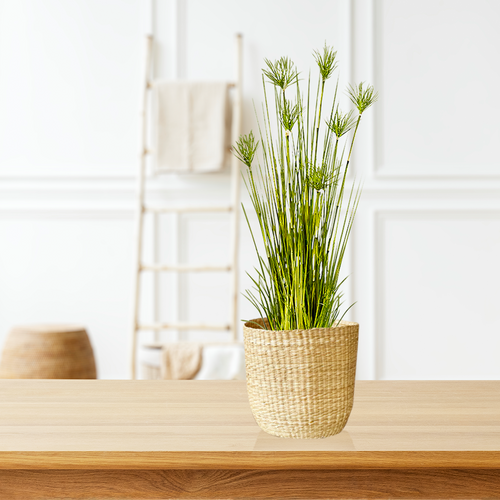 Cyperus Papyrus Plant Tree Artificial Grass, Home Or Office Indoor ery Accent