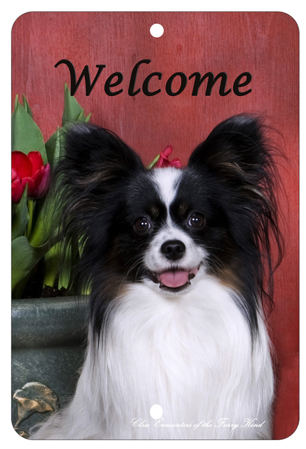 Papillon - Best of Breed  Indoor/Outdoor Aluminum Sign