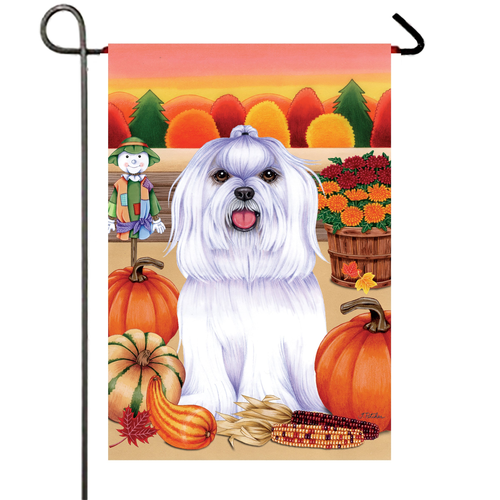 Maltese- Best of Breed Autumn Harvest Garden Flag 