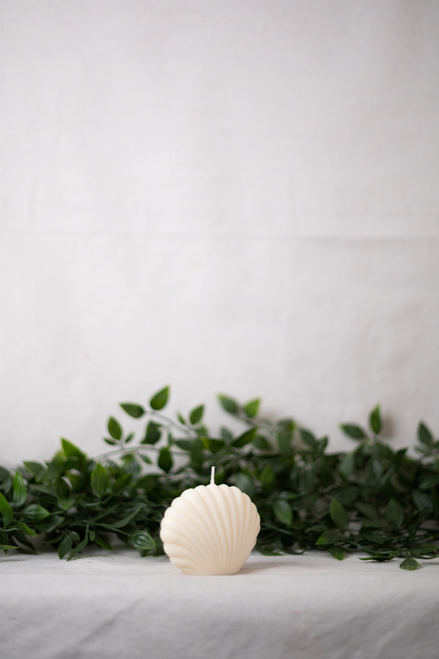 Shell Candle Collection