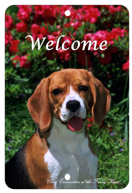 Beagle - Best of Breed  Indoor/Outdoor Aluminum Sign